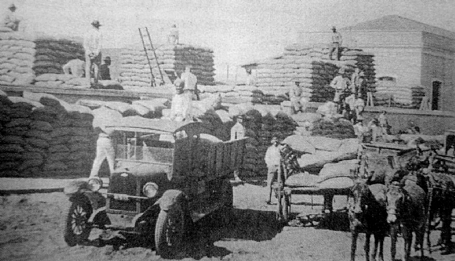 Carregamento de cereais, depois levados at Santos para exportao